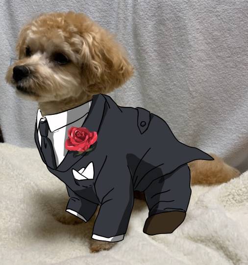 生き物ルーム第27