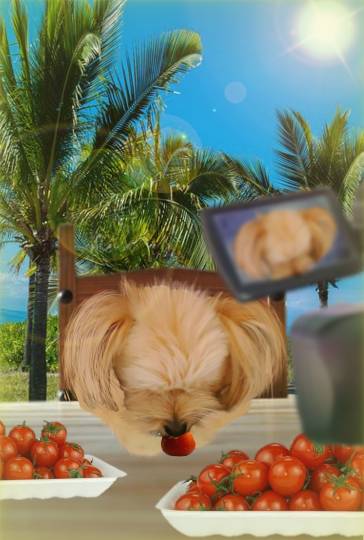 生き物ルーム28