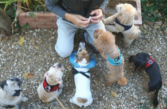 生き物ルーム第29