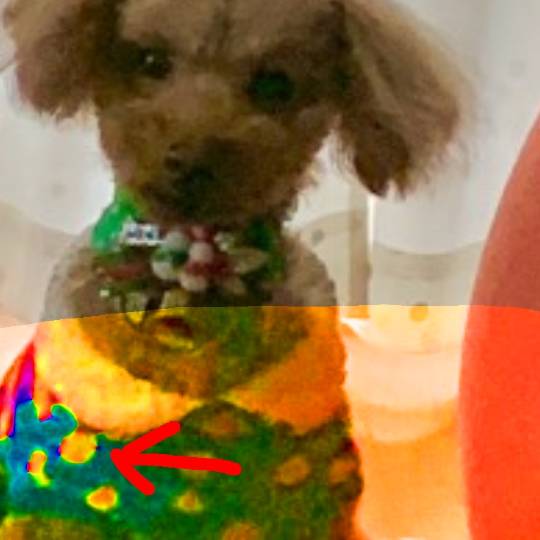 生き物ルーム第29