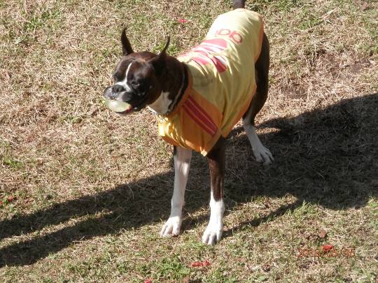 生き物ルーム第27