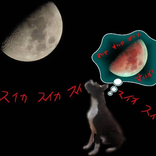 南関東トピック Vol.1.5.1