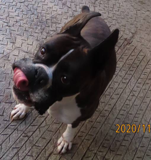 生き物ルーム第29