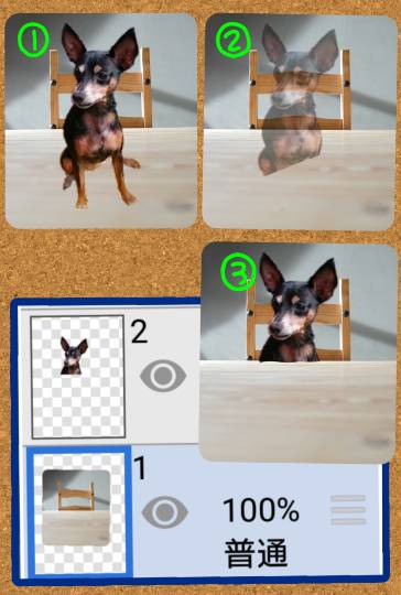 生き物ルーム第29