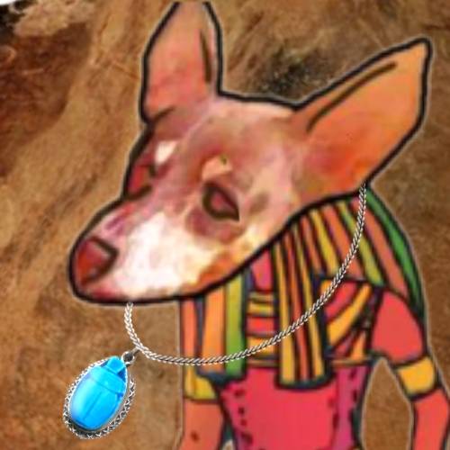 生き物ルーム第27