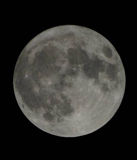 生き物ルーム第26