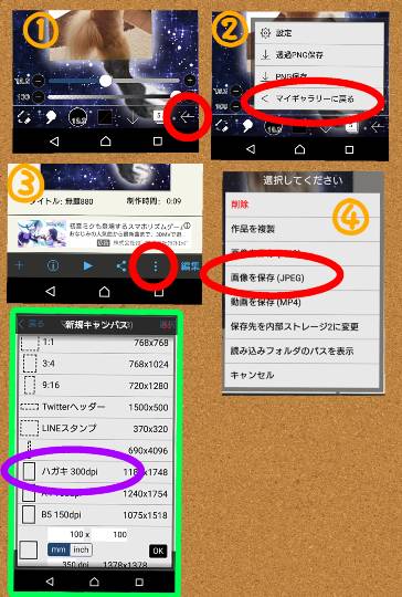 生き物ルーム第29