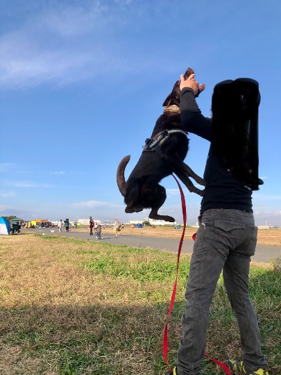 生き物ルーム28