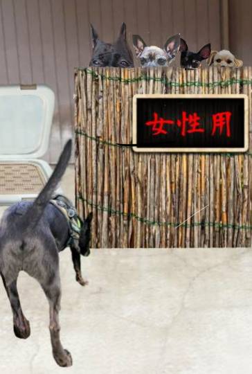 生き物ルーム第27