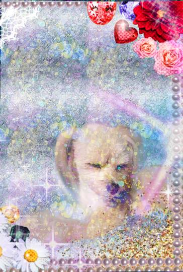 #雑談お絵描き部…ホーム Ⅲ