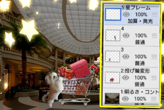 生き物ルーム28