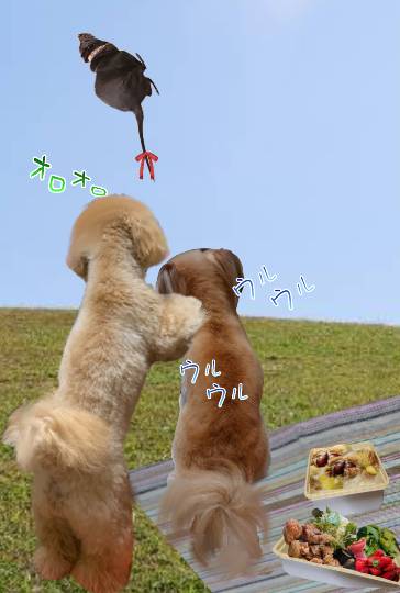 生き物ルーム28