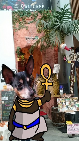 生き物ルーム第26