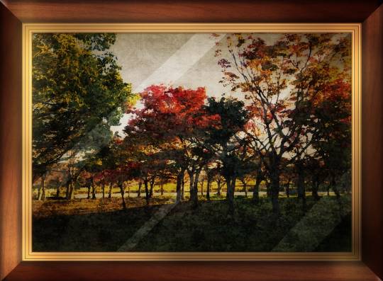 花鳥風月に心を込めて...　(エアー花トピ2)