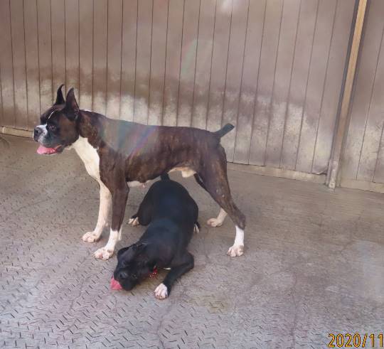 生き物ルーム第27