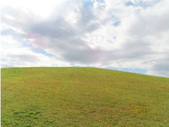 生き物ルーム第26