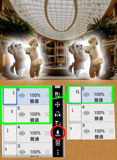 生き物ルーム第29