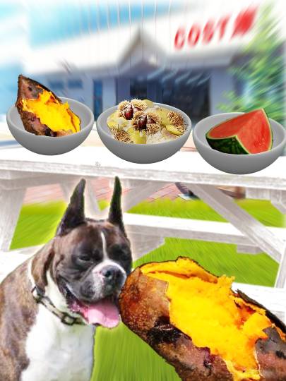 生き物ルーム第29