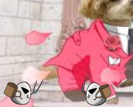 生き物ルーム第27