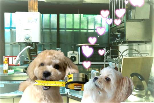 生き物ルーム第27