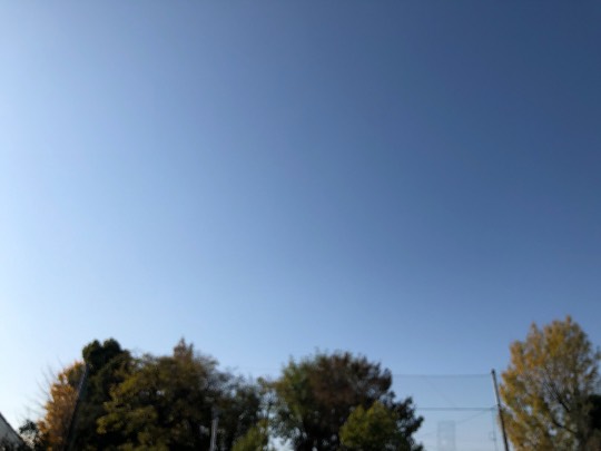 コストコユーザーのドンキ♡♡ロピア 雑談