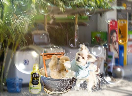 生き物ルーム28