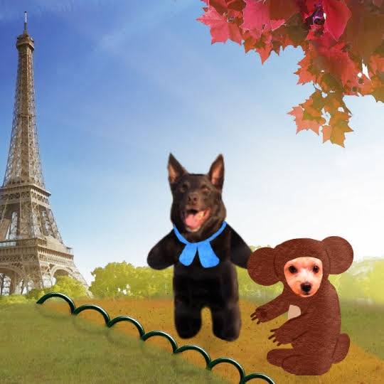 生き物ルーム第29