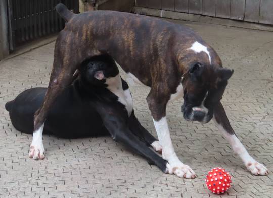 生き物ルーム28