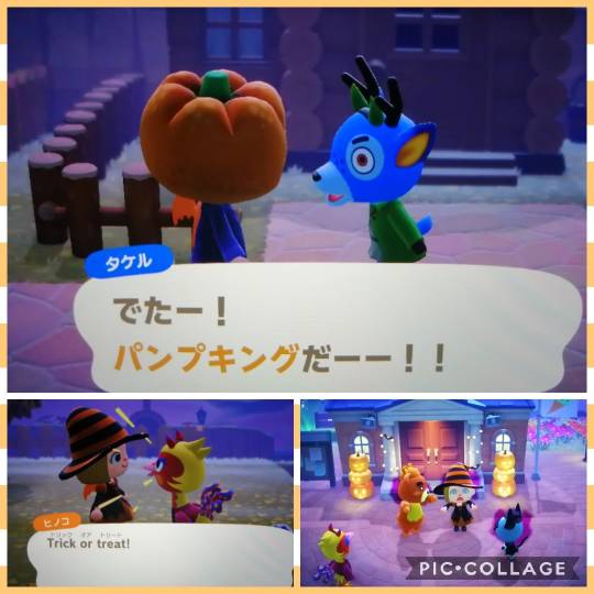 あつまれゲーム好きさんの森Ⅵ 雑談もあるばってん