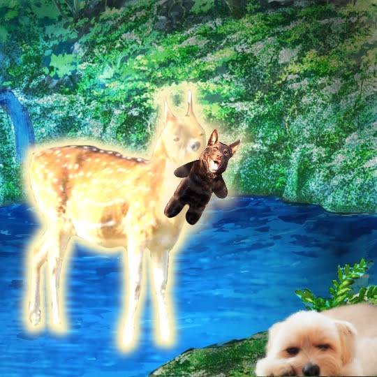 生き物ルーム第29