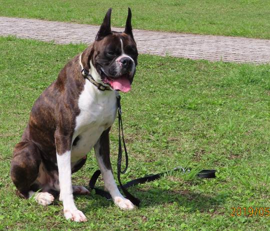 生き物ルーム28