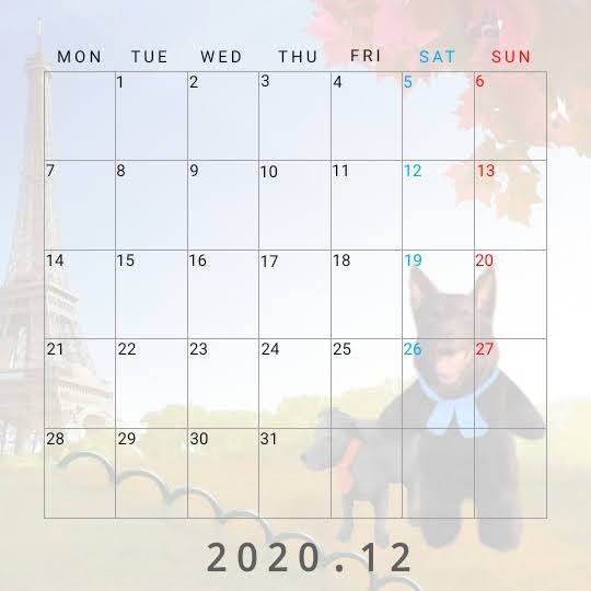 生き物ルーム第29