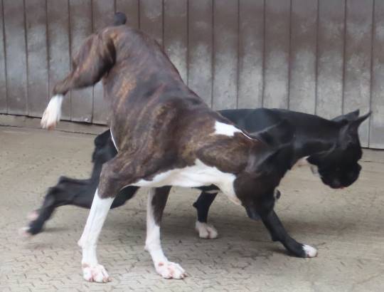 生き物ルーム28