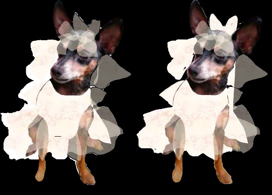 生き物ルーム第27