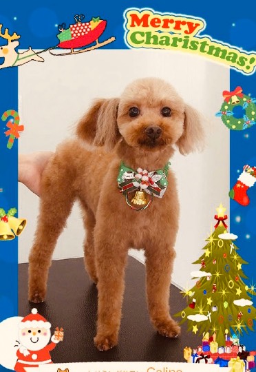 生き物ルーム第29