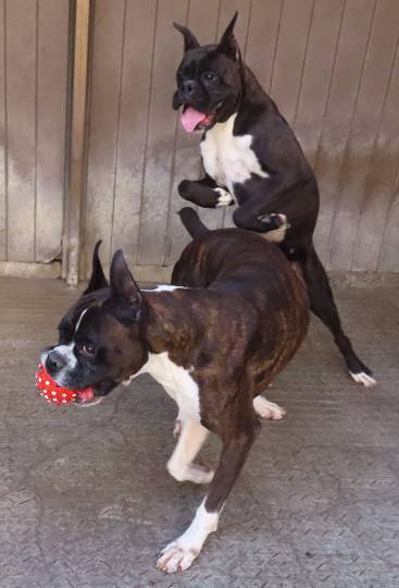 生き物ルーム28