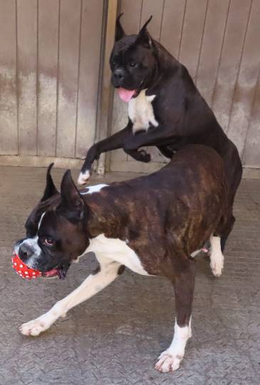 生き物ルーム28