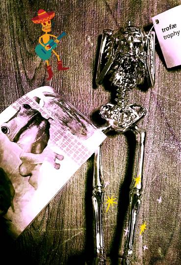 東海エリア界No.5 (^_-)-☆