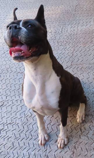 生き物ルーム28