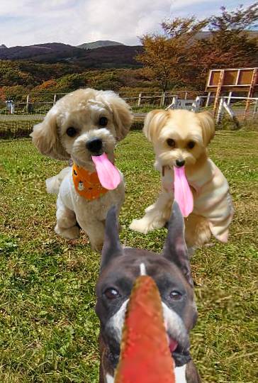 生き物ルーム第26