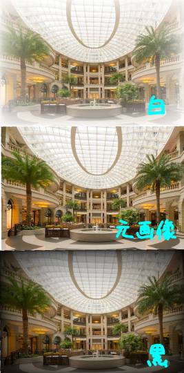 生き物ルーム第29