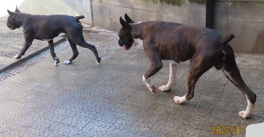 生き物ルーム第29