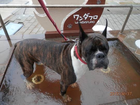 生き物ルーム第29