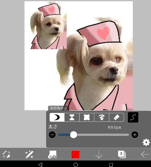 生き物ルーム第26