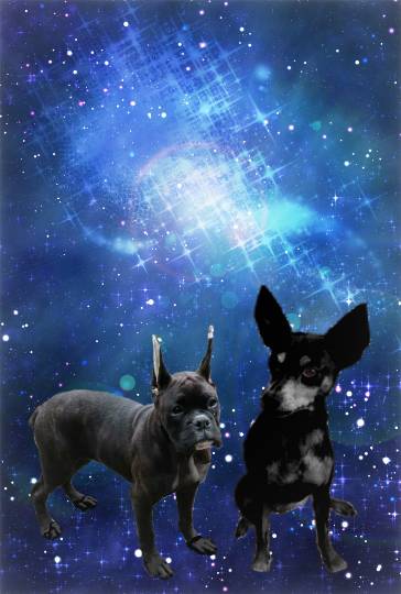 生き物ルーム第27