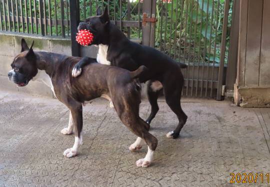 生き物ルーム第29