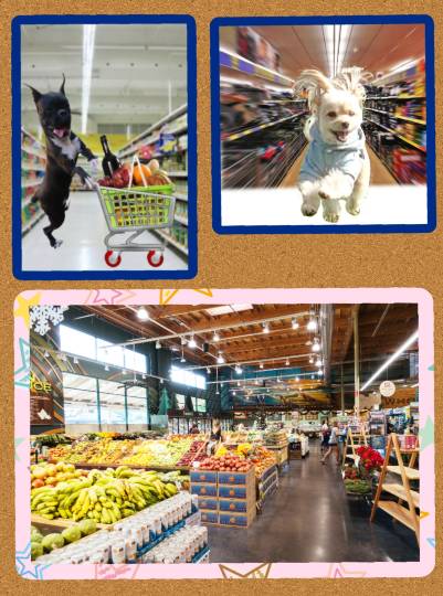 生き物ルーム28