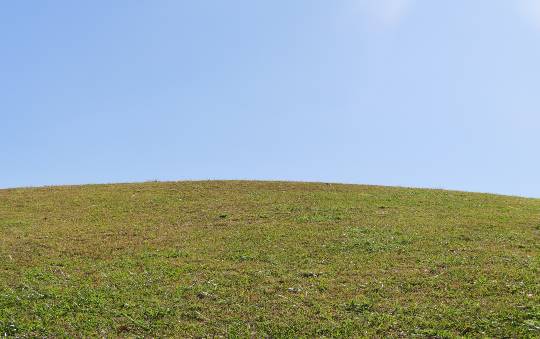 生き物ルーム第27