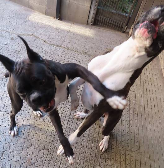 生き物ルーム第29