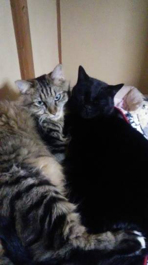 生き物ルーム第26